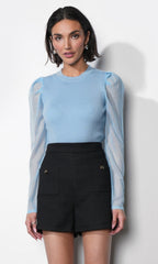 Honey Sheer Sleeve Sweater Top