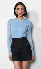 Honey Sheer Sleeve Sweater Top